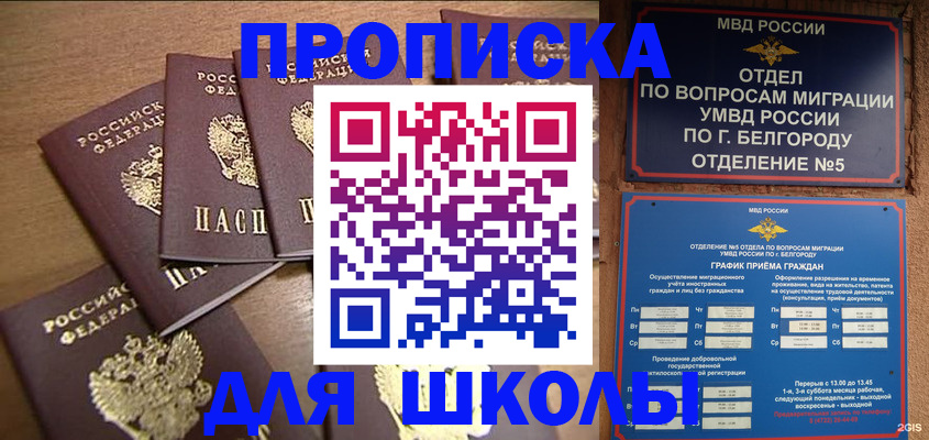 прописка гарантия в Наволоках